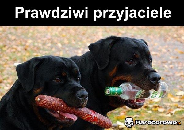 Szanuję - 1