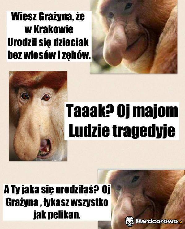 Łykneła - 1