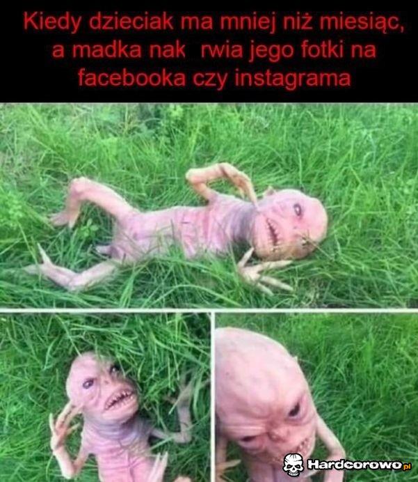 Patrzcie na zdjęcia mojego - 1