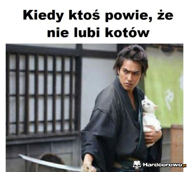 Kiedy ktoś powie, że nie lubi kotów - 1