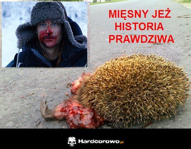 Mięsny Jeż - 1