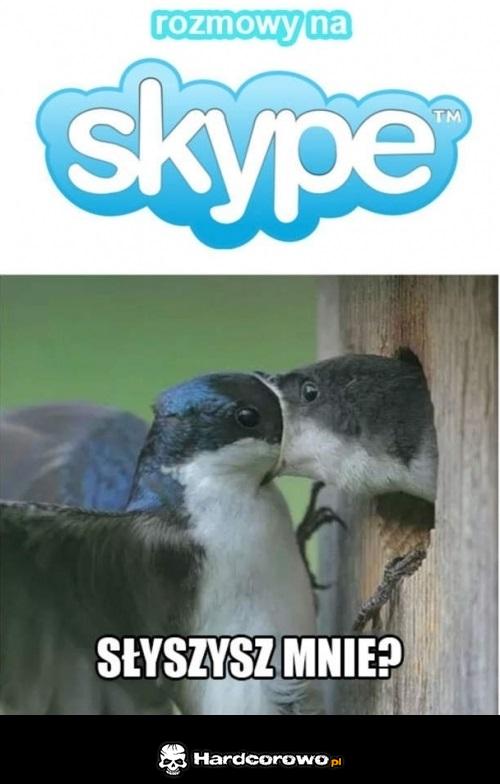 Rozmowy na skype  - 1