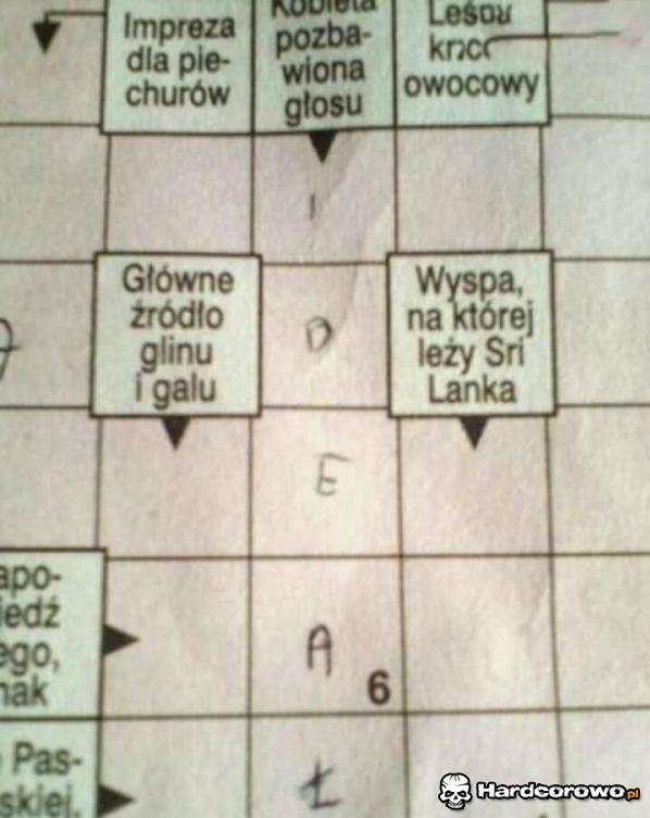Rozwiązuje krzyżówkę  - 1