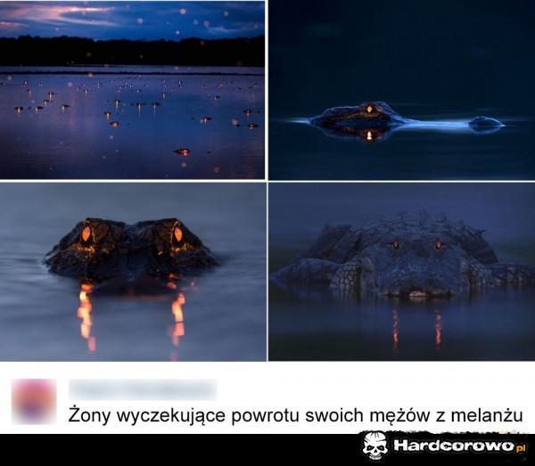  - 1