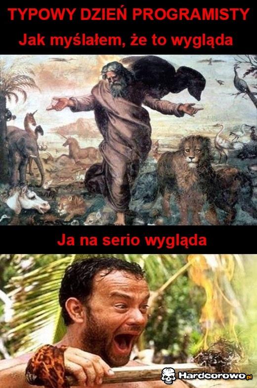 Programista - 1