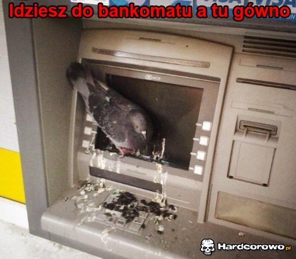 Tymczasem w Grecji - 1