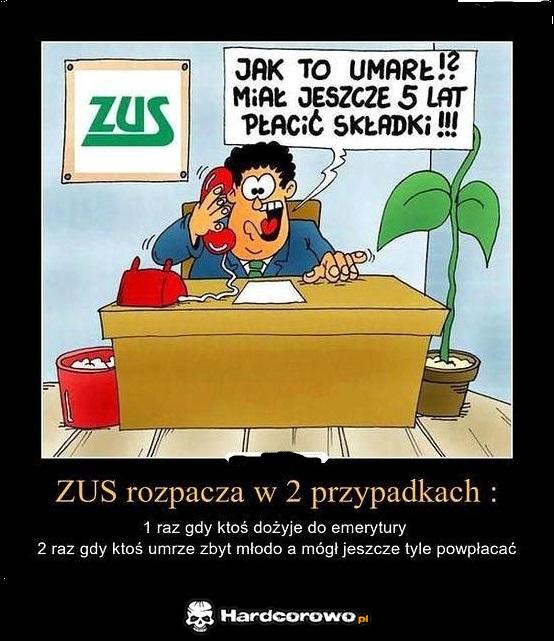 Kiedy ZUS rozpacza - 1