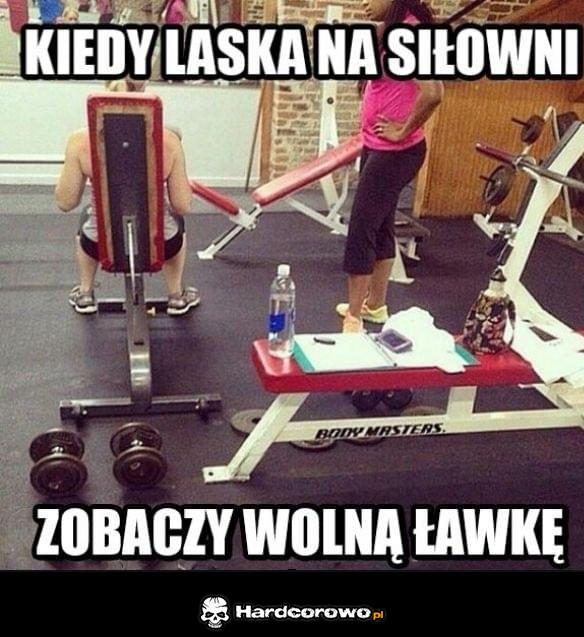 Laski takie są - 1