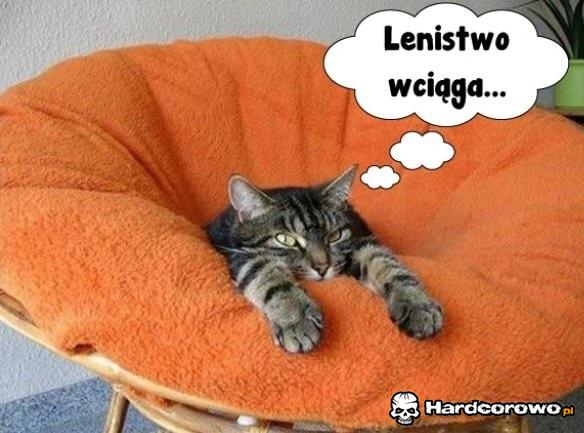 Lenistwo - 1