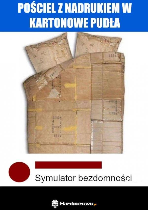 Symulator bezdomności - 1