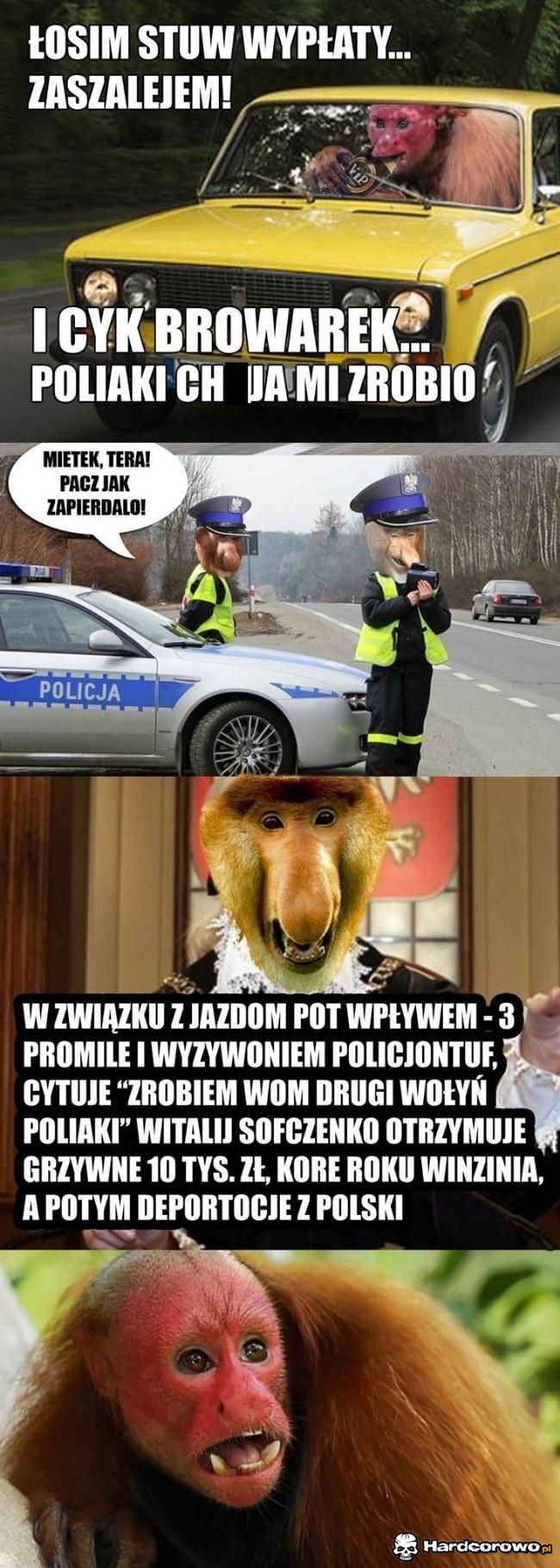 Ukraiński Janusz - 1