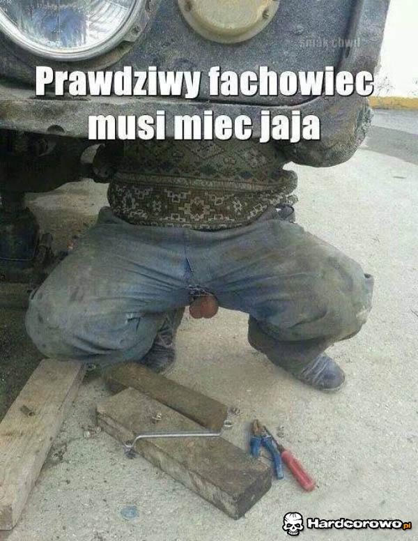 Janusz Fachowiec - 1