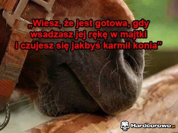 Wiesz że jest gotowa - 1