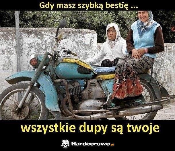 Gdy masz szybką bestię - 1