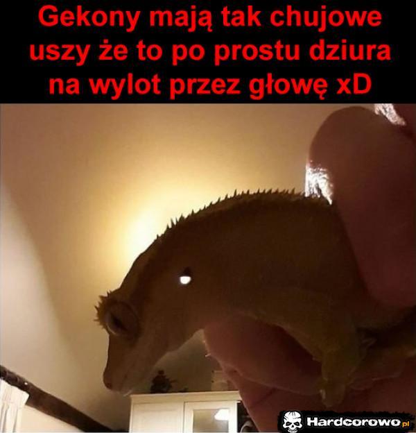  - 1
