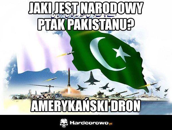 Narodowy ptak Pakistanu - 1