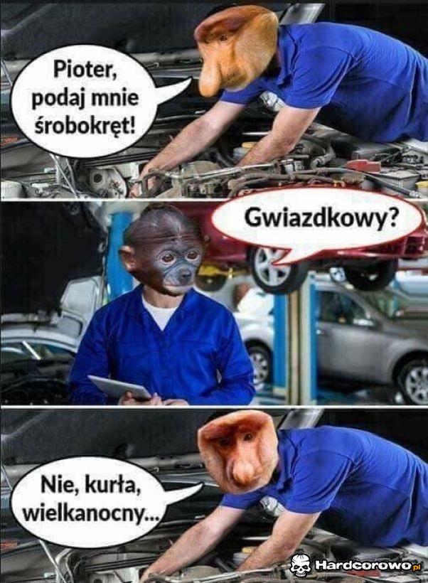 Riposta Janusza - 1