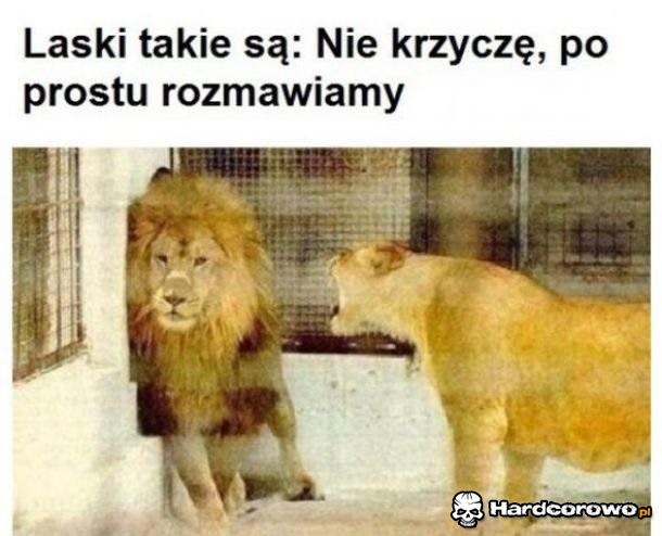 Laski takie są - 1