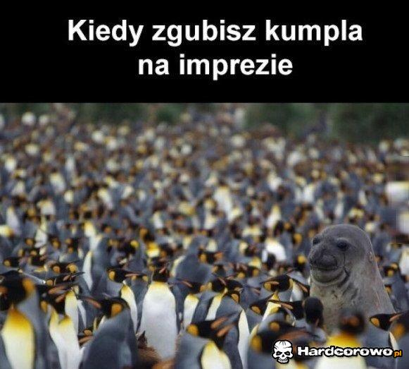Kiedy zgubisz kumpla na imprezie - 1