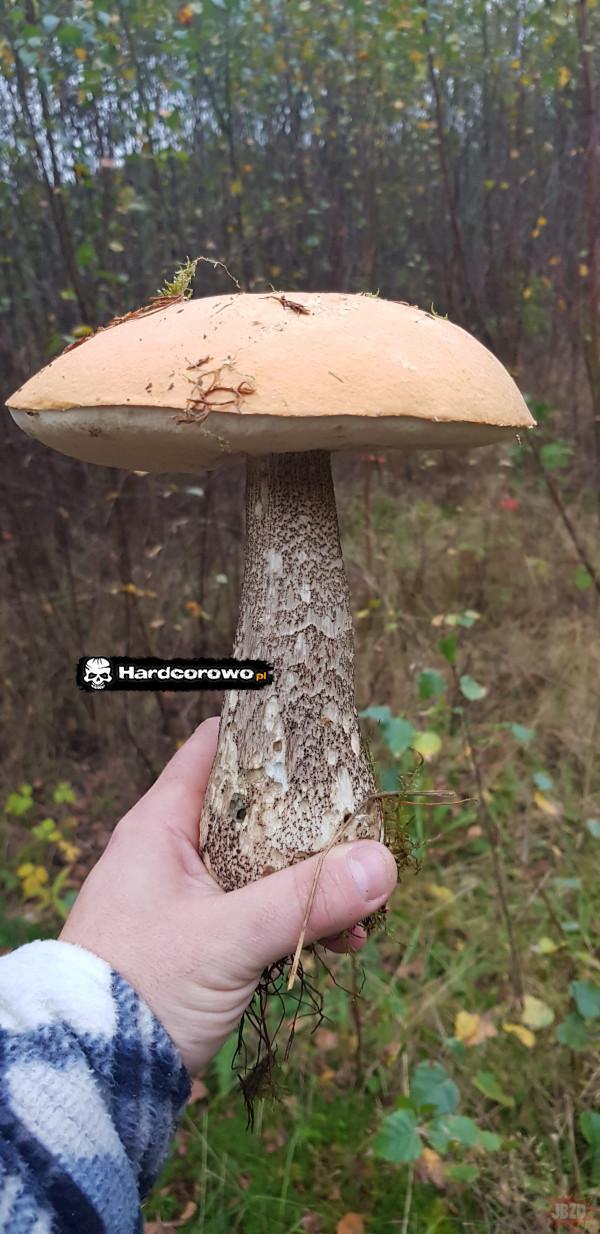  - 1