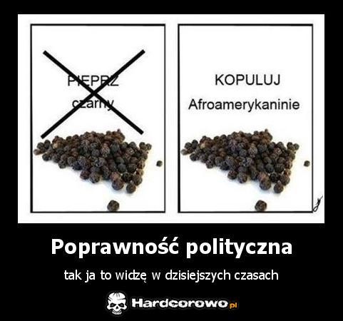 Poprawność polityczna - 1