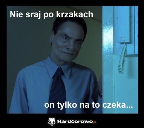Ludzka stonoga - 1