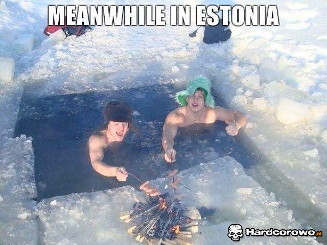 Tymczasem w Estonii - 1