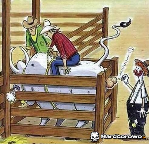 Ujeżdżanie byka - 1