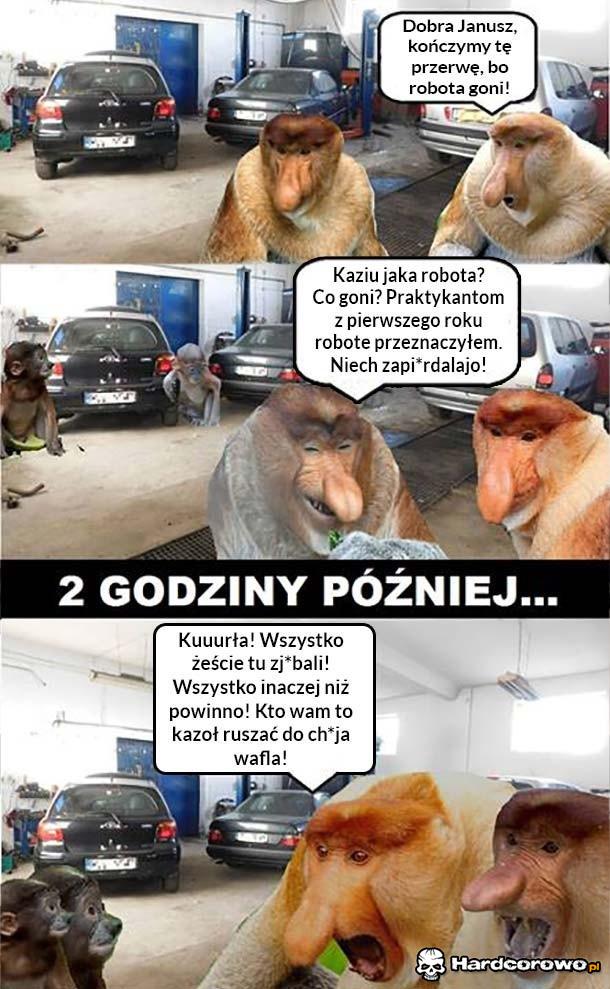 Praktykanci - 1