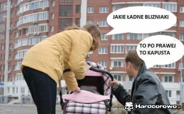 Ładne bliźniaki - 1