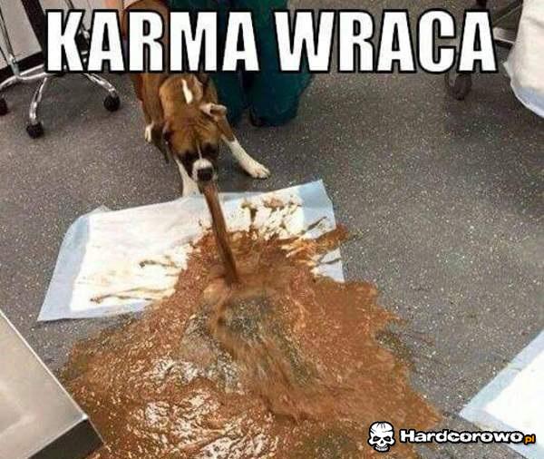 Karma - 1