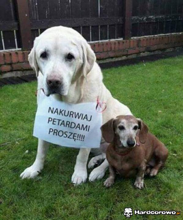 Ich życzenie się spełniło - 1