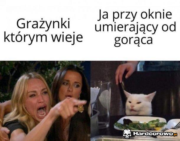 Grażynki w autobusie - 1