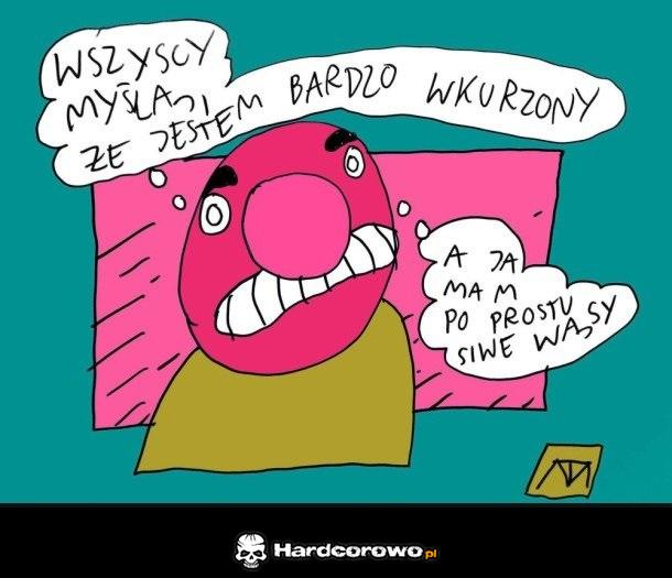 Bardzo wkurzony - 1