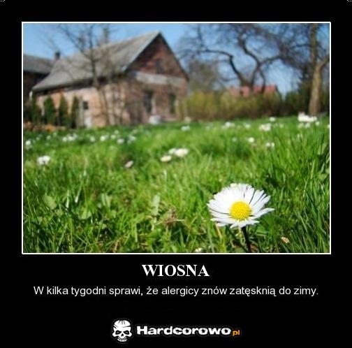 Wiosna dla alergików  - 1