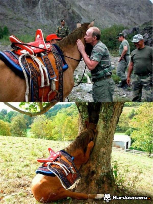 Putin załamał konia - 1