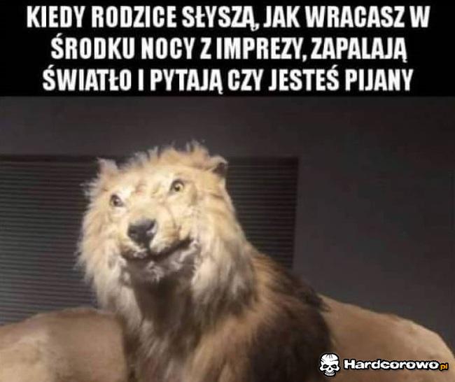 Powrót z imprezy - 1