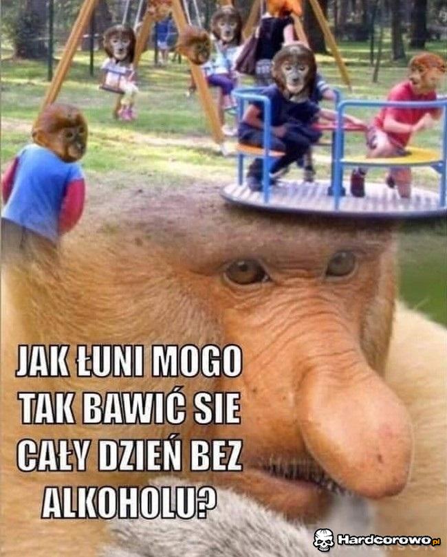 Typowy Janusz - 1