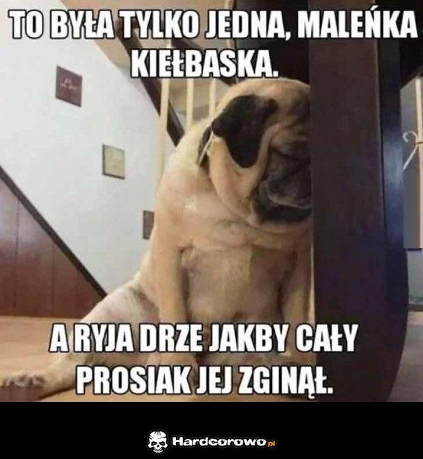 Smutny pieseł - 1