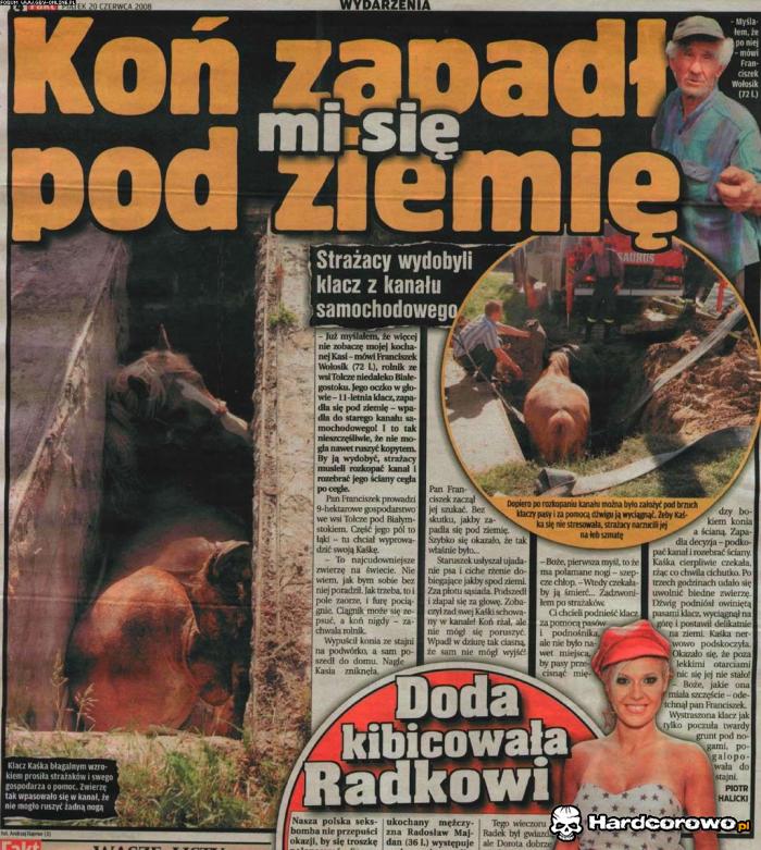 Koń zapadł się pod ziemię - 1