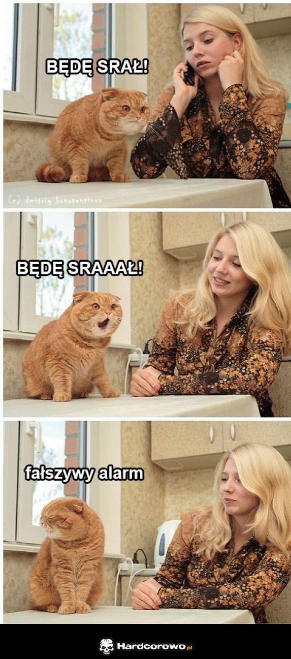 Fałszywy alarm - 1