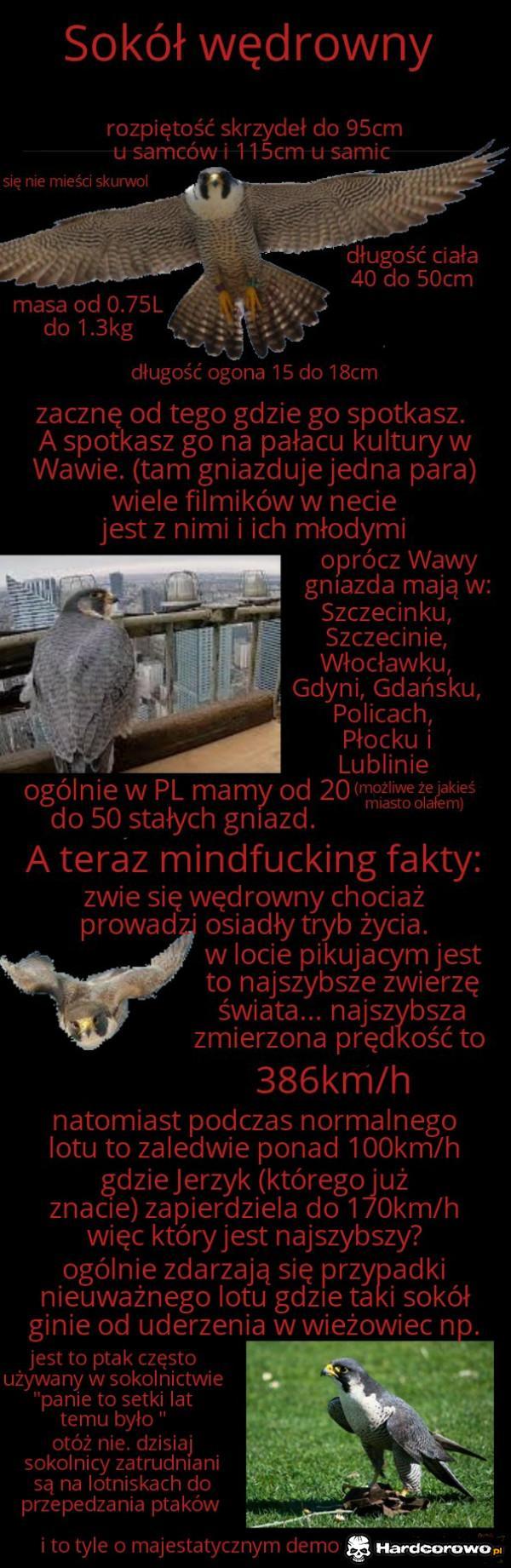  - 1