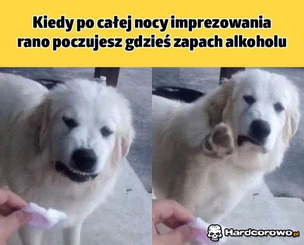 Nigdy więcej - 1
