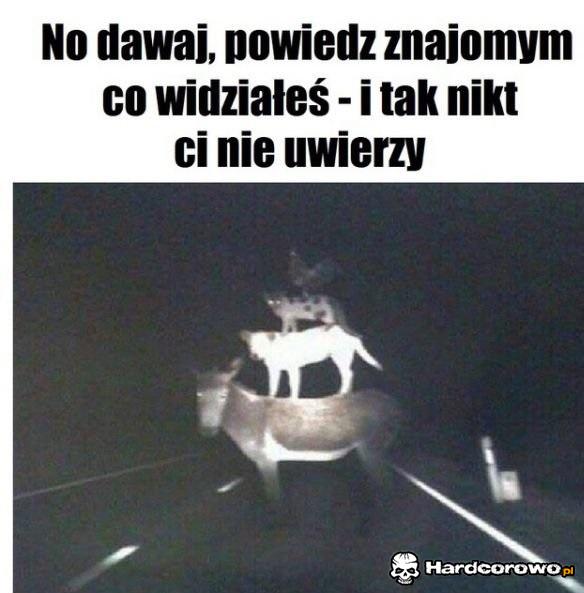 No dawaj - 1