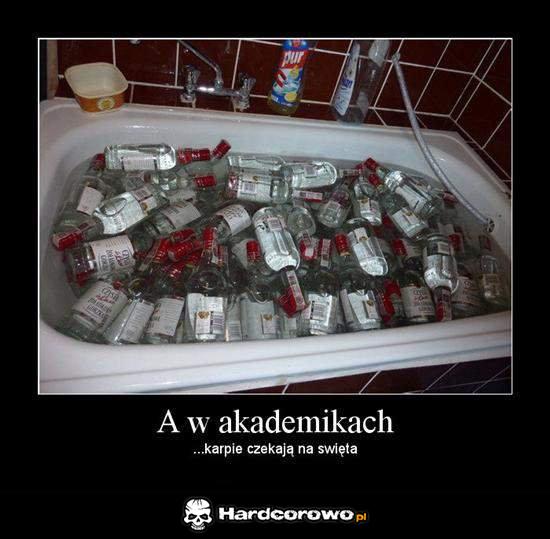 W akademikach  - 1