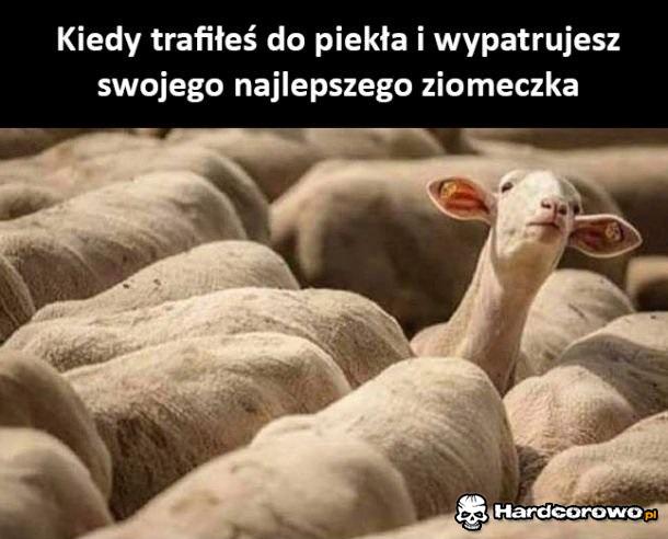 Piekło - 1