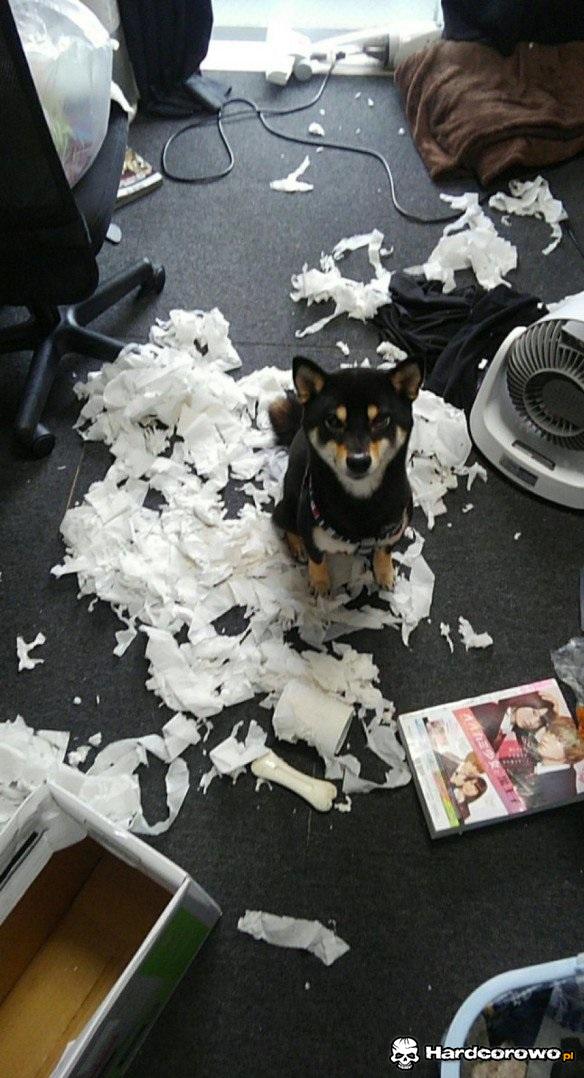 Trochę nabroił - 1