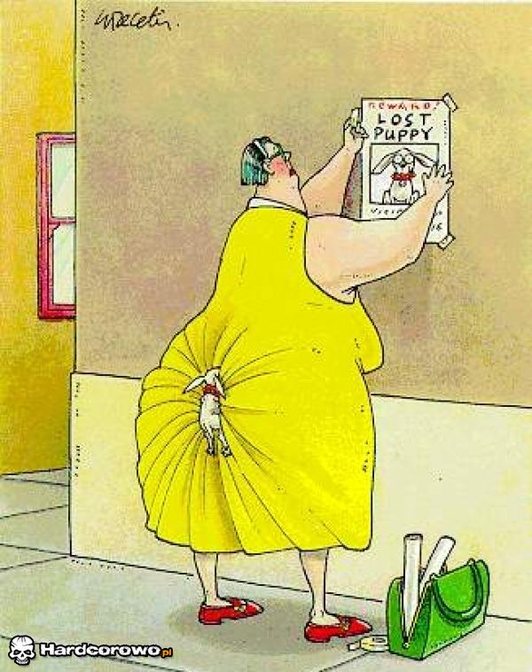 Zaginął piesek - 1