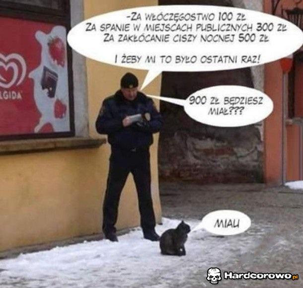No i kot ma przypał - 1