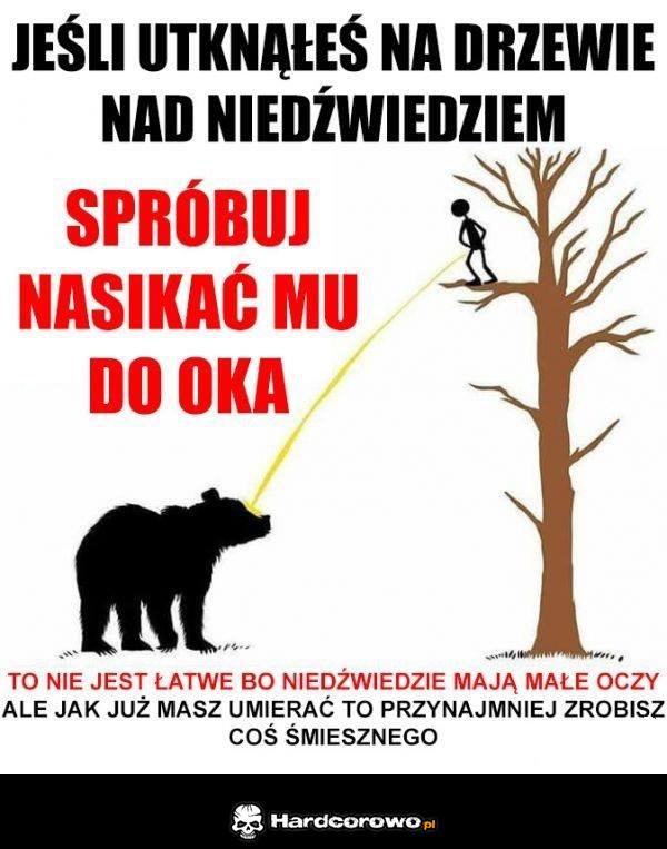 Na szlaku - 1
